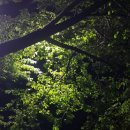 와라와라헬스 이미지