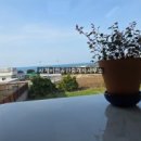 하귀농협하나로마트 이미지