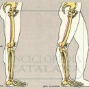 짐앤테라피 피티 이미지