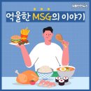 억울한 MSG의 이야기 (L-글루타민산나트륨) 이미지