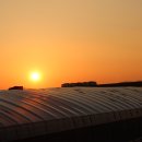 늘푸른농장 1 이미지