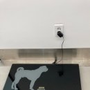 신영통동물병원 이미지