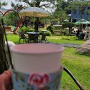 동해-단속-41 이미지