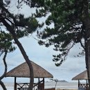 대광펜션 이미지