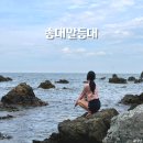 경주 송대말등대 국내 스노쿨링 명소 준비물 주의사항 주차장 여름 여행지