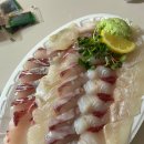 푸른마음횟집김배달 - 15232 | 푸른마음횟집김배달