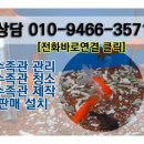 명동수족관