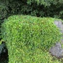 석부작박물관 이미지