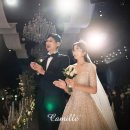 본식스냅] 화이트톤 윤성스냅 계약후기 (탐클로이,그대로운,노이프로젝트, 언아더데이 등 업체리스트...