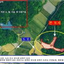 양편농장 티스토리