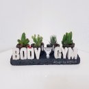 Y GYM 휘트니스 네이버블로그