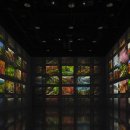 숲을향한시선 이미지