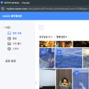 대명앤스빌 1차 | 끝내주게 아름다운 11월을 아름답게 끝내주는 끝내주는 나 ｜Nov End