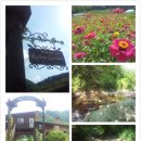 최성농장 이미지