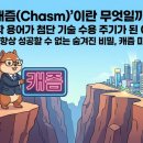 캐즘 뜻 무엇일까? 지질학 용어에서 첨단 기술 수용 주기가 된 이유.. 혁신 제품이 무조건 성공하지...
