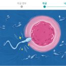 정자네 이미지