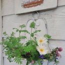 아드레이 이미지