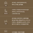 바디브이에스바디 이미지