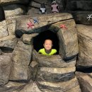 예담 효 태권도장 이미지