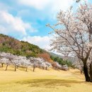 여주-0700 이미지