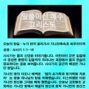 가나안 Daum카페
