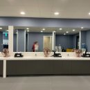 증평 벨포레리조트 썸머랜드 워터파크 후기