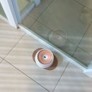 멈머즈 | [울산 동구 일산동] 울산애견카페 실내애견카페 추천 “멈머즈” 내돈내산 솔직후기 주차정보