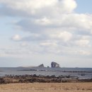 상모리-12 이미지