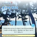 용신어촌체험휴양마을 이미지