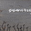 영농조합법인 배바우공동체 이미지