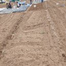 오류농장 이미지