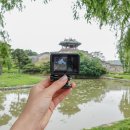 담아볼래