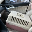 신일환동물병원 이미지