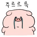 완도상회 이미지