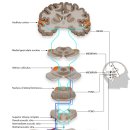 소리귀보청기 이미지