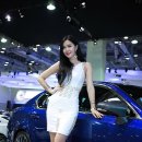 아시아모델부산 일간스포츠