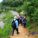 괴곡성벽길 이미지