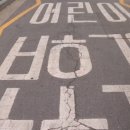 주정차-17 이미지