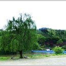 한천천 | 시속78km-2로 달리는 인생(NO:22)~농다리에 가다