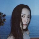 참조아 이미지