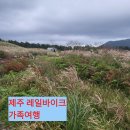 베스트바이크 | 제주도 가족여행 제주레일바이크로 여유롭게 억새풀 구경