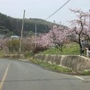 구지신 이미지