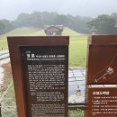 조선권력 조선의 정치 이미지