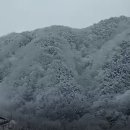 유창농장 이미지