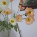 경기도 수원시 팔달구 정조로791번길 이미지