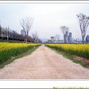 남구-019 이미지