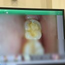 골드캐슬치과의원 이미지