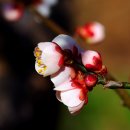 새소리 물소리 이미지