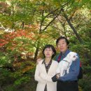 불바라기팬션 이미지