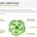 스킨,담다